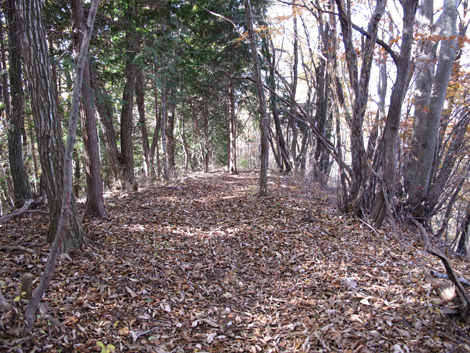 20161117hike (128)